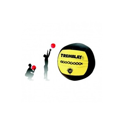 Wall ball 10 kg