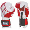 SAVATE BOXING GLOVES 