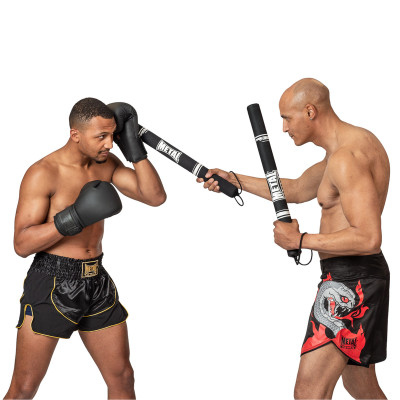 TRAINING STICK (PAIR)  2