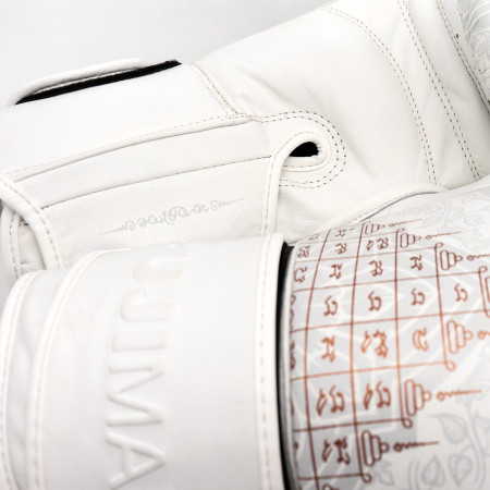 Gants Boxe SakYant II Cuir  