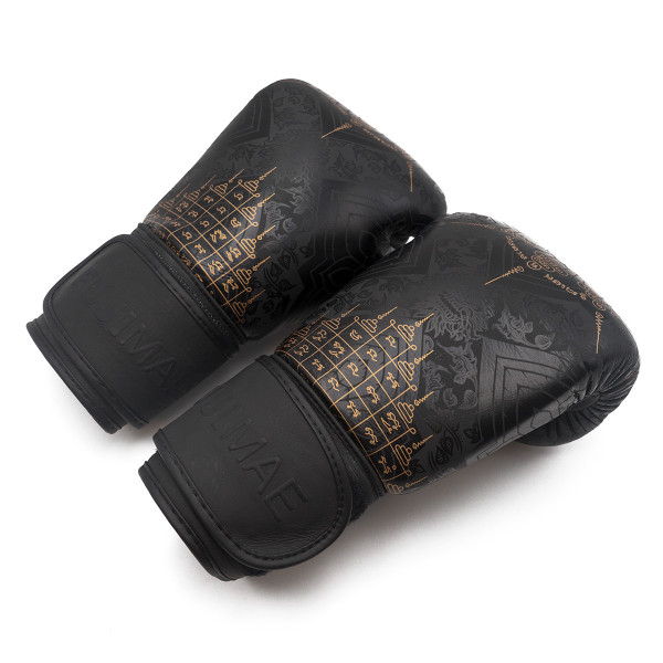 Gants Boxe SakYant II Cuir  