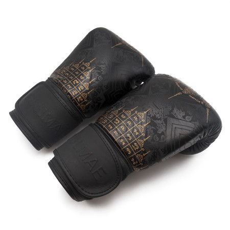 Gants Boxe SakYant II Cuir  