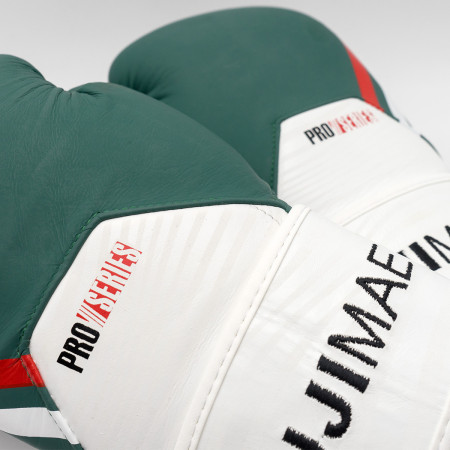 FUJIMAE ProSeries 2.0 Leather Boxing Gloves  
