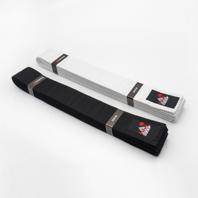 Obi Arts Martiaux  2