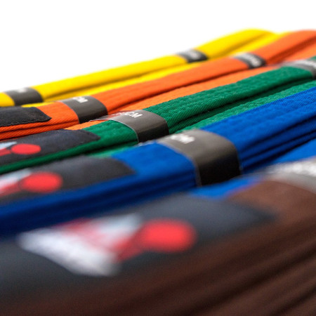 FUJIMAE Bicolor Martial Arts Belt  