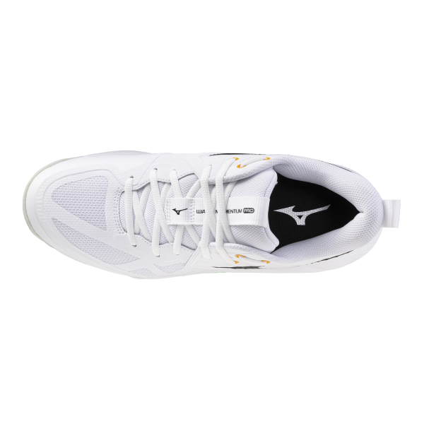MIZUNO WAVE MOMENTUM PRO 