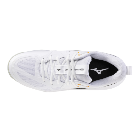 MIZUNO WAVE MOMENTUM PRO 