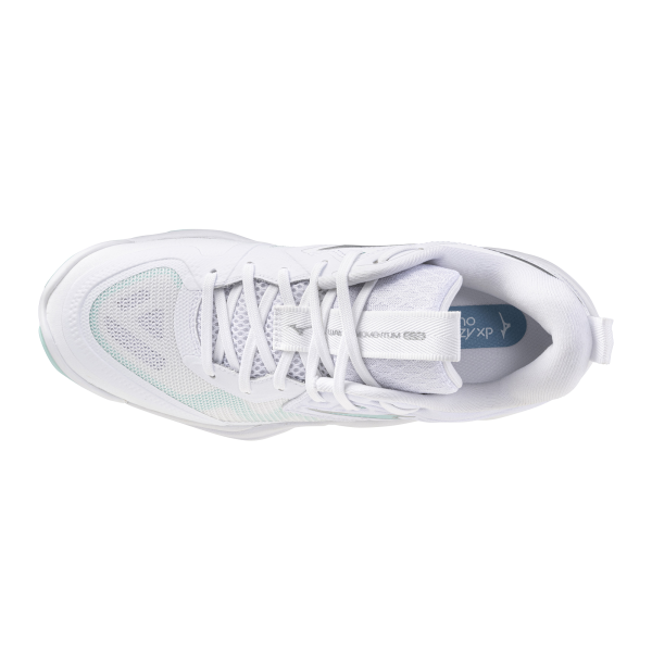 MIZUNO WAVE MOMENTUM ELITE 