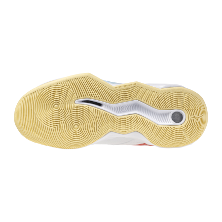 MIZUNO WAVE MOMENTUM PRO 