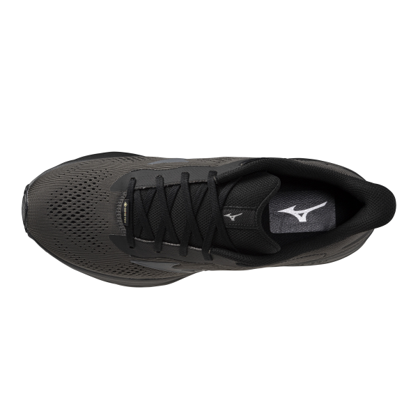 MIZUNO WAVE SERENE 2 GTX 