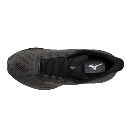 MIZUNO WAVE SERENE 2 GTX 