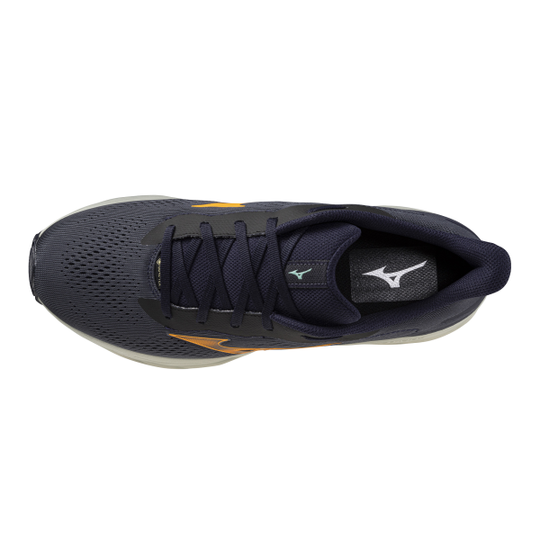 MIZUNO WAVE SERENE 2 GTX 