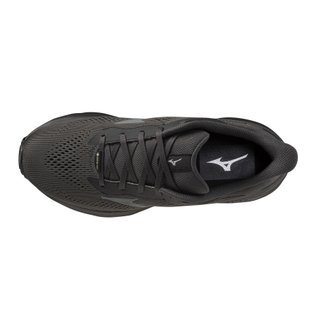 MIZUNO WAVE SERENE 2 GTX 