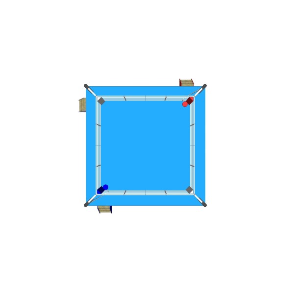 Ring de boxe (approuvé IBA) 