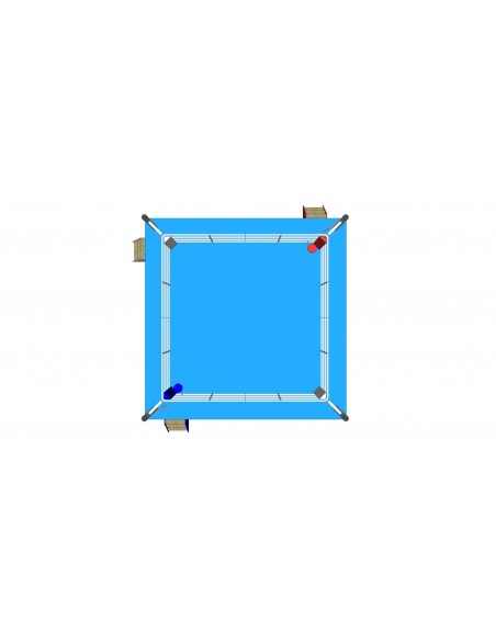 Ring de boxe (approuvé IBA) 