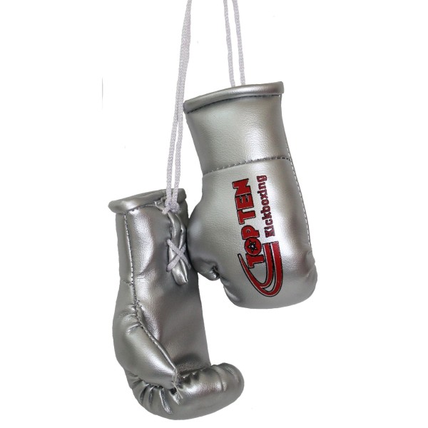 Mini gants de boxe "TOP TEN Kickboxing" - argent 