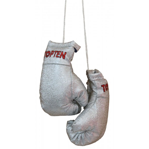 Mini gants de boxe "TOP TEN" - argent 