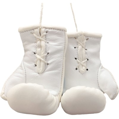 Mini gants de boxe « WAKO Pro » - blanc  2