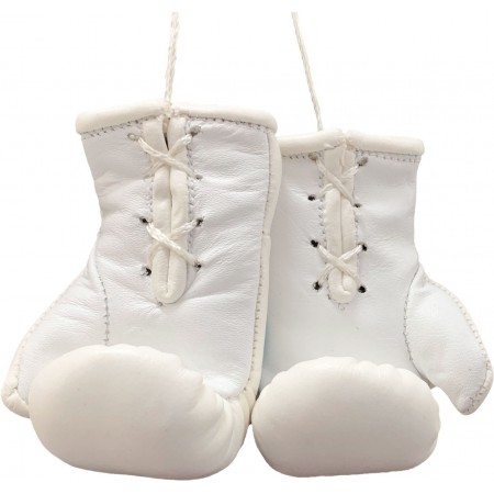 Mini gants de boxe « WAKO Pro » - blanc 