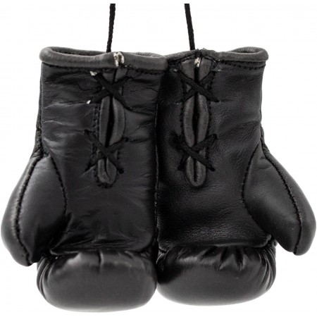 Mini gants de boxe « WAKO Pro » - noir 