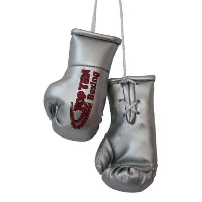 Mini gants de boxe "TOP TEN Boxing" - argent