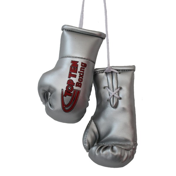 Mini gants de boxe "TOP TEN Boxing" - argent 