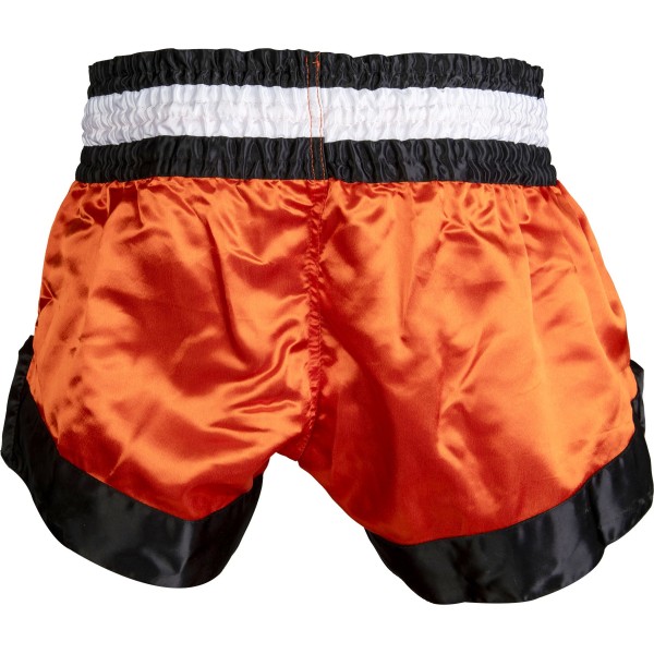 Short de kickboxing "NEON TOP TEN"  