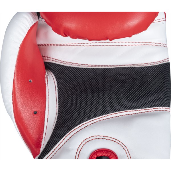 Gants de boxe "XLP"