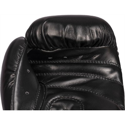 Gants de boxe "Kampfkatzen"   2