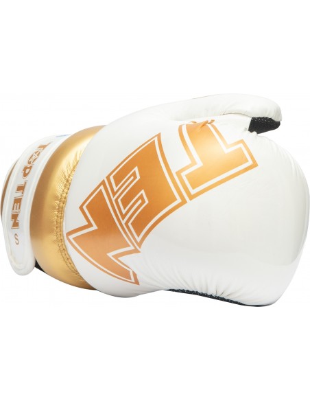 Pointfighter "Glossy Block"  