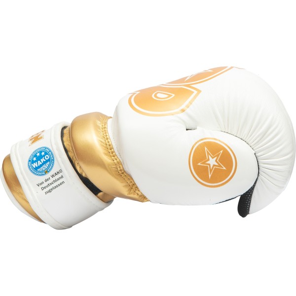 Pointfighter "Glossy Block"  