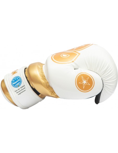 Pointfighter "Glossy Block"  