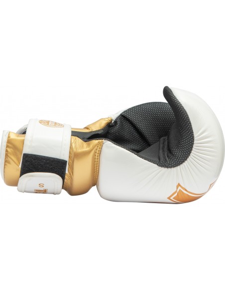 Pointfighter "Glossy Block"  