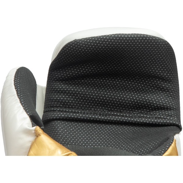 Pointfighter "Glossy Block"  