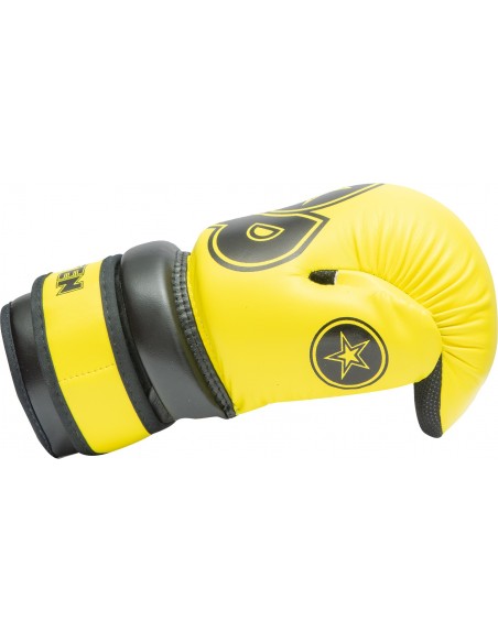 Pointfighter "Glossy Block"  