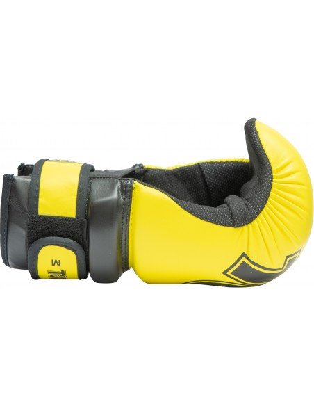 Pointfighter "Glossy Block"  