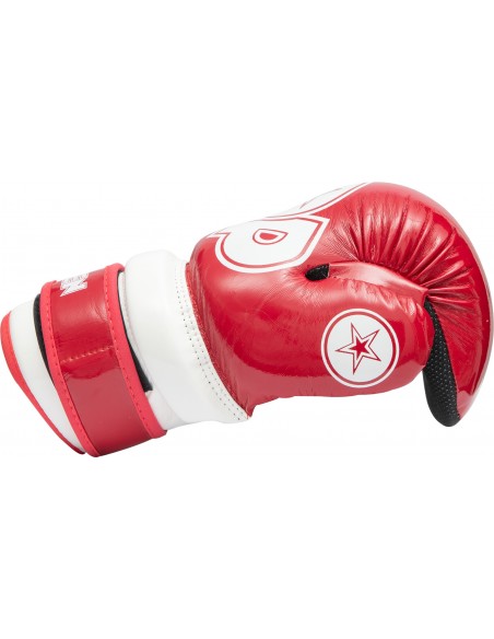 Pointfighter "Glossy Block"  