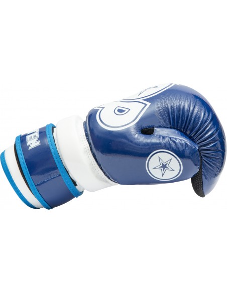 Pointfighter "Glossy Block"  