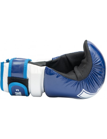 Pointfighter "Glossy Block"  