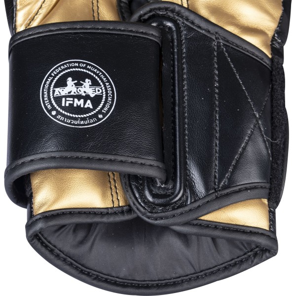 Gants d'entraînement "Ajarn"