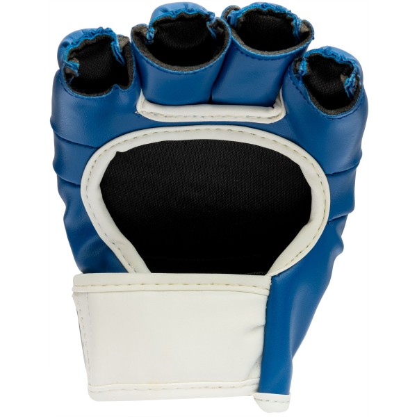 Gants de frappe MMA "Striking C-Type"