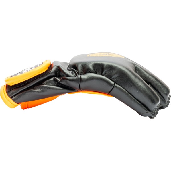 Gants de frappe MMA "Striking C-Type"  