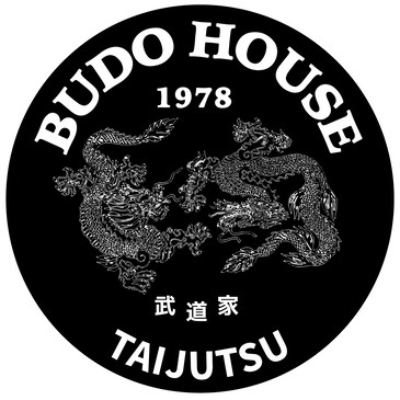 TAIJUTSU